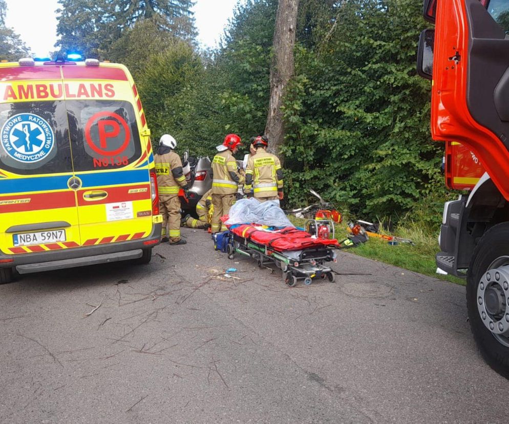 Samochód z czteroosobową rodziną uderzył w drzewo. Tragiczny wypadek na trasie Górowo Iławeckie – Kamińsk