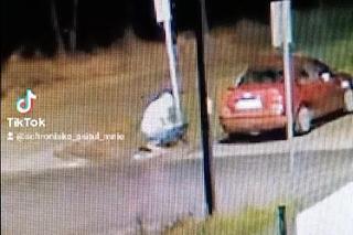 Przywiązał psa do słupa i zostawił na mrozie. To, co zrobiła przerażona suczka, łamie serce