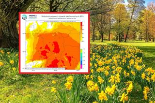 Rekord ciepła zostanie pobity w Wielkanoc. To tam padnie historyczna temperatura! 