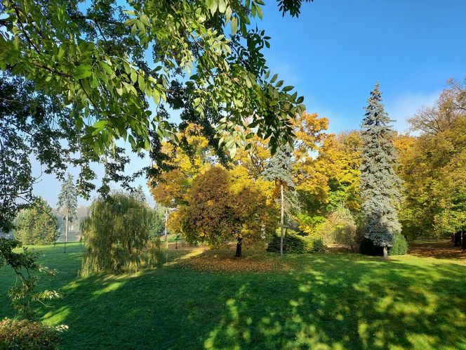 Zamojski Park jesienią