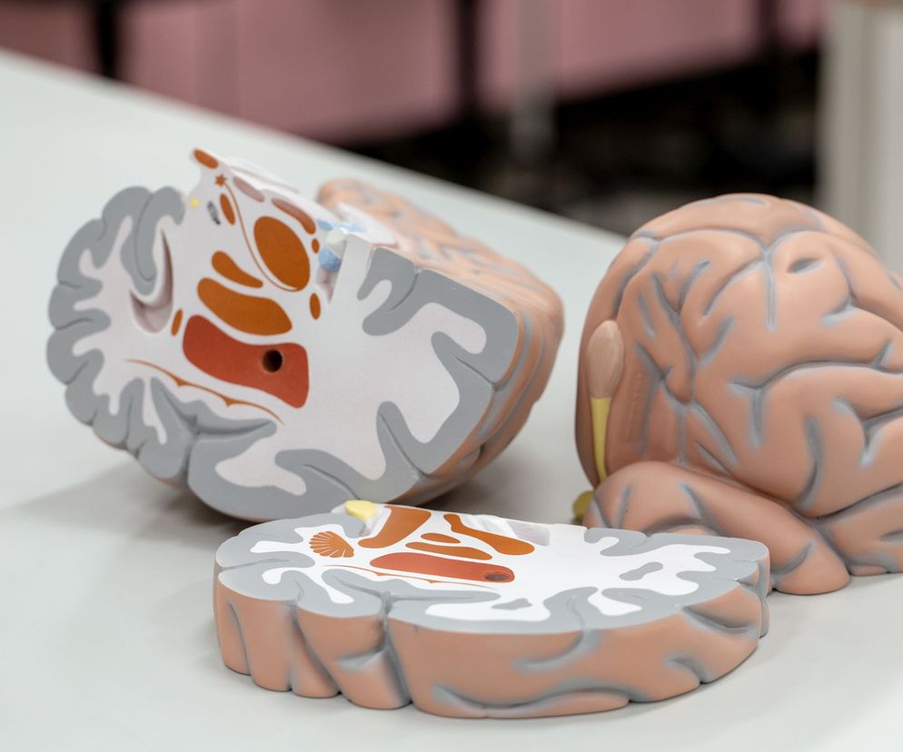 Zwyrodnienie korowo-podstawne to choroba neurodegeneracyjna, w której przebiegu dochodzi do dysfunkcji kory mózgu oraz jąder kresomózgowia (jąder podstawy).
