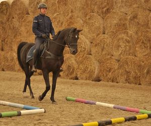 Policyjne konie zdały egzamin!