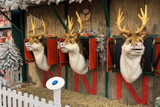 Miasteczko Świąteczne we Flora Point (2024)