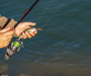 Świętokrzyskie. Skatowali bezbronnych wędkarzy bez litości. Czterech oprawców w rękach policji