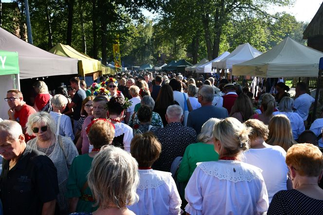 Tłumy na dożynkach w Olsztynku. Zobacz, jak wyglądało tegoroczne święto plonów