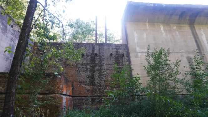 Monumentalna śluza Leśniewo z symbolami III Rzeszy ukryta w mazurskim lesie. Jest owiana tajemnicą [ZDJĘCIA]