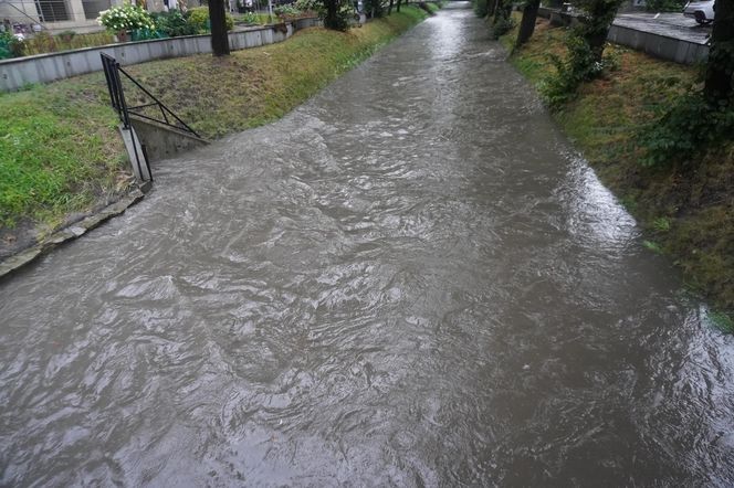 Kielce. Rzeka Silnica w czasie ulewy