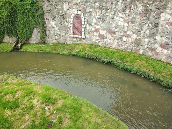 Sytuacja hydrologiczna w Tarnowie. Czy grozi nam powódź?