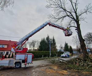 Silny wiatr nad Dolnym Śląskiem. Zerwany dach, powalone drzewa i zablokowana droga