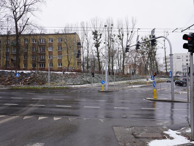 Pierwsze opady śniegu w listopadzie 2024 w dzielnicy Bronowice w Lublinie