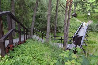 Mofety w Polsce - co mają wspólnego z wulkanami? Gdzie je znaleźć? Czym są?