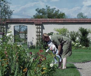  Film Strefa interesów już dostępny online.  Gdzie go obejrzeć? 