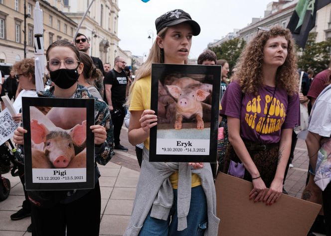 Marsz Wyzwolenia Zwierząt