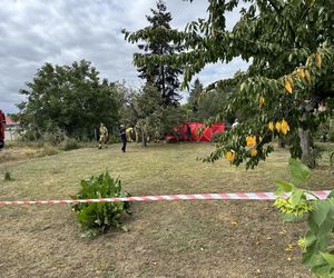 Wypadek awionetki w Krzycku Wielkim
