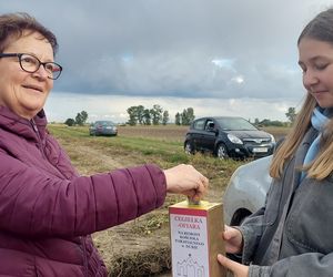 Samozbiory pomidorów na plantacji w Niewirkowie cieszą się powodzeniem