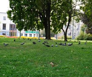 Wrześniowy upał w Lublinie i spokój w centrum miasta