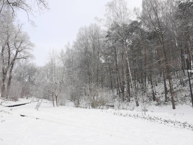 Starachowice w zimowej szacie