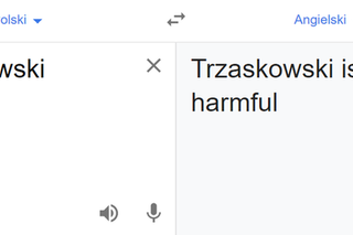 Wybory 2020. Tłumacz Google mówi o Dudzie i Trzaskowskim: Duda is ok; Trzaskowski is...