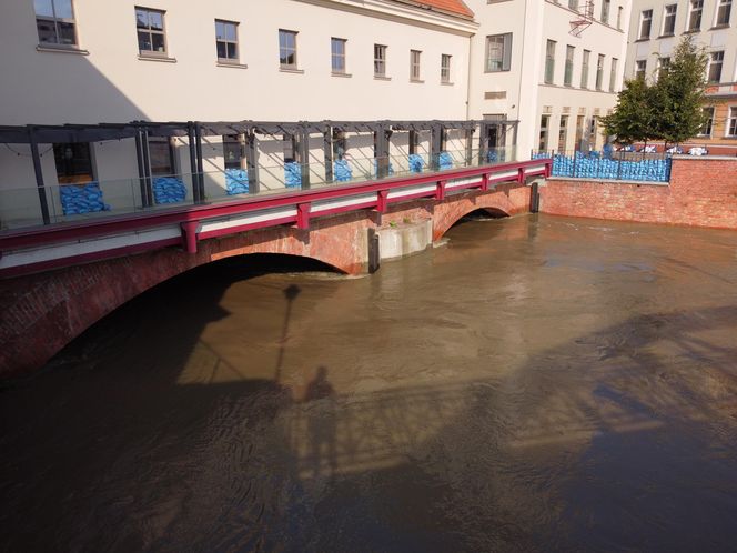 Sytuacja na Odrze we Wrocławiu