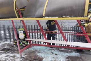 Wypadek autobusu. Staranował przystanek