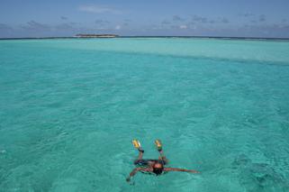 Nurkowanie na Tobago Cays