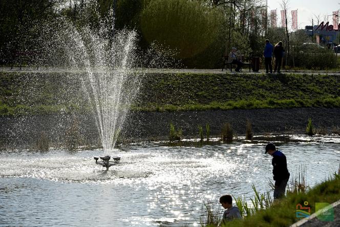 Zbiornik retencyjny Sikorskiego/Paukszty. Tak wygląda nowy park w Olsztynie [ZDJĘCIA]