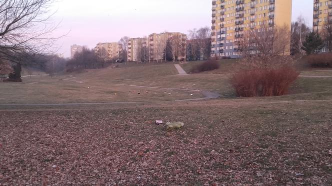 Lublin: Okropny bałagan po sylwestrowym imprezowaniu! Śmieci i szkło [ZDJĘCIA]