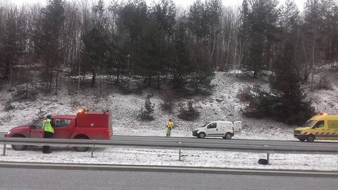 Ranny pies zamarzał na środku autostrady. Przez dwie godziny nie otrzymał żadnej pomocy [AUDIO, ZDJĘCIA]