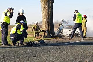 Tragiczny wypadek w miejscowości Głogowiniec [ZDJĘCIA] 