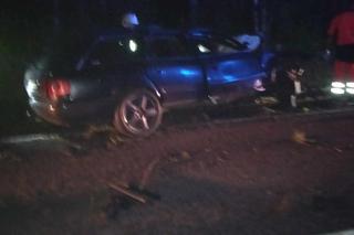 Wypadek na DK 79 między Luszycą i Strużkami