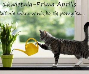 Kartki i grafiki na Prima Aprilis 2025. Pobierz za darmo i świętuj 1 kwietnia z humorem!
