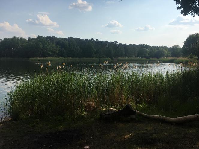 Byliśmy na dzikim kąpielisku w Pieckach