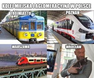 Najnowsze memy o Sutryku, korkach i niedziałających rogatkach we Wrocławiu. Każdy się uśmieje!