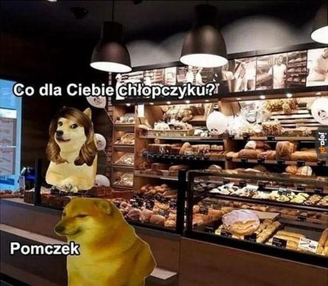 Najlepsze MEMY na Tłusty Czwartek! 