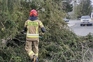 Tragiczny bilans wichur w Małopolsce. Pięć ofiar śmiertelnych i setki interwencji służb