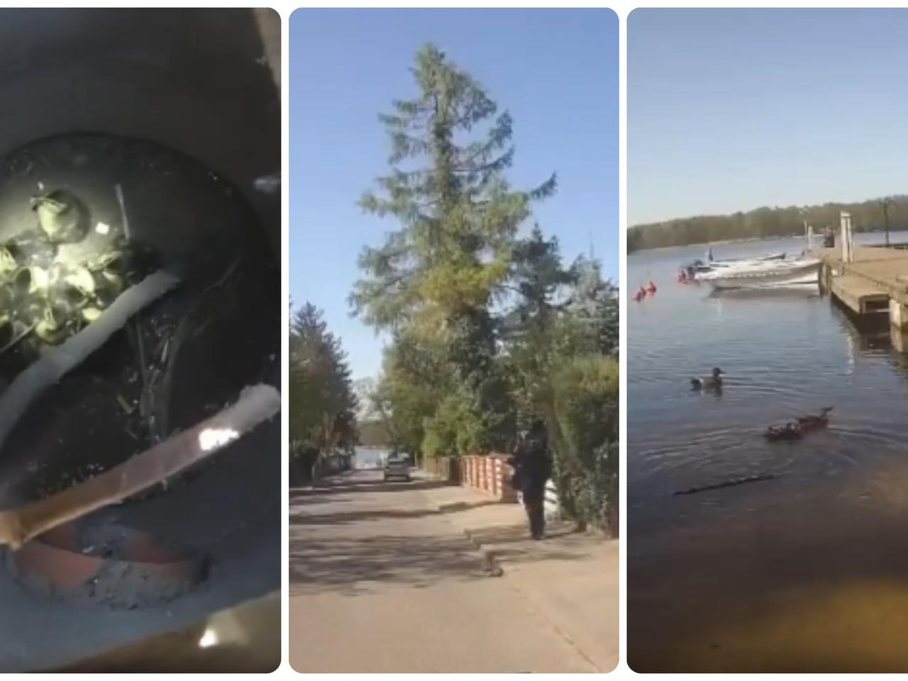 Małe kaczuszki znalazły się w śmiertelnej pułapce. Na ratunek ruszyli szczecineccy strażnicy miejscy