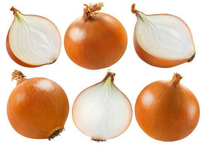 Cebula