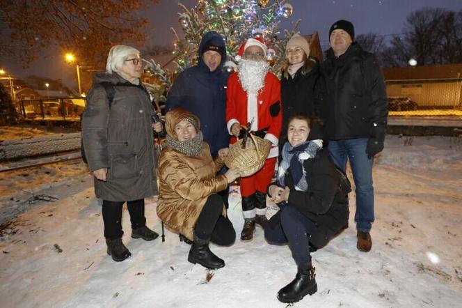 Dzielnicowe choinki w Gdańsku już świecą