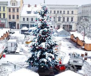 Drzewko świąteczne na rynku w Rybniku