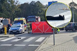 Romeczek zginął w wypadku. Jest akt oskarżenia