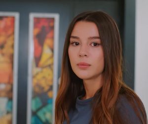 Miłość i nadzieja odc. 283. Zeynep