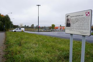 Na czym polega fenomen ronda przy Makro?