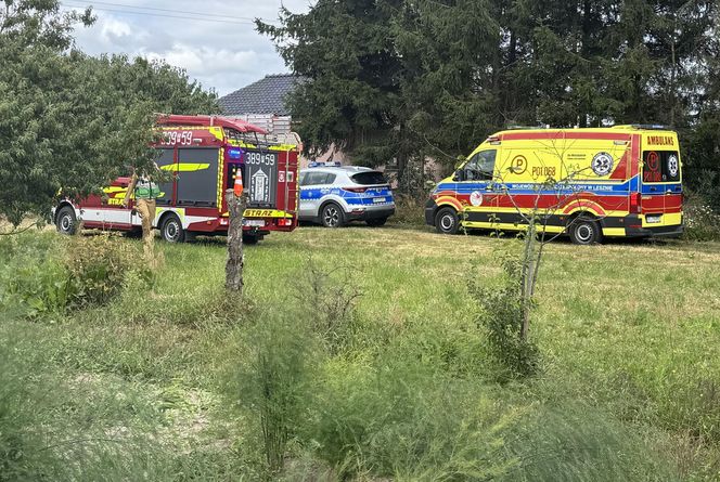 Wypadek awionetki w Krzycku Wielkim