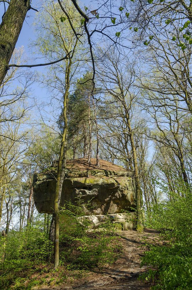 To miasto w Małopolsce jest kolebką turystyki. Legenda głosi, że założył je stryj Mieszka I