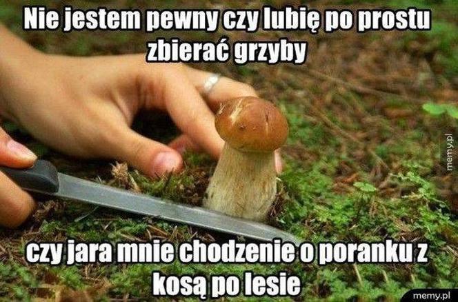Trwa sezon na grzyby! Oto najlepsze memy o grzybiarzach!