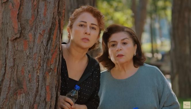 Miłość i nadzieja odc. 287. Hulya,  Naciye