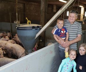 Dramat pana Zdzisława. Rolnik dostał 100 tys. złotych kary, bo poił zwierzęta wodą ze studni