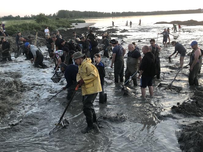 Poszukiwacze bursztynu w Rewie. Jak wyglądają poszukiwania złota Bałtyku? 