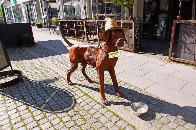 Ystad - malownicze szwedzkie miasteczko nad Bałtykiem