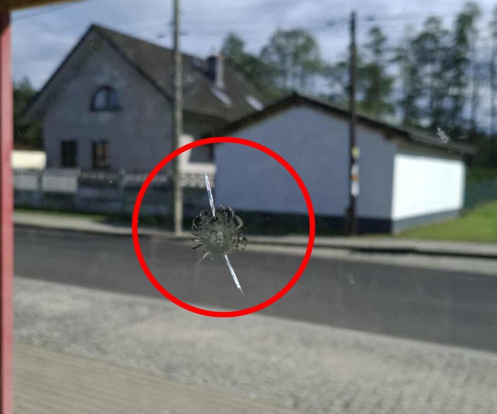 Strzały na przystanku w Dąbrowie Górniczej Antoniowie